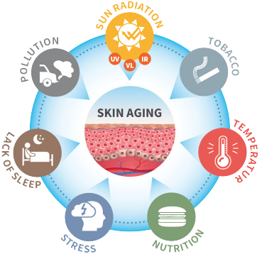 causes-of-skin-aging